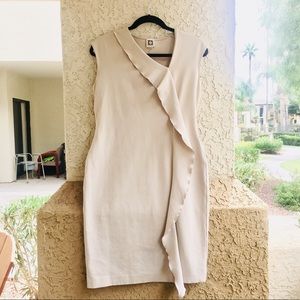 NWOT Anne Klein Bodycon Dress